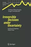 Irreversible Decisions under Uncertainty cover