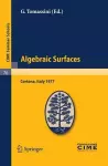 Algebraic Surfaces cover