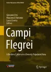 Campi Flegrei cover