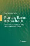 Protecting Human Rights in the EU cover