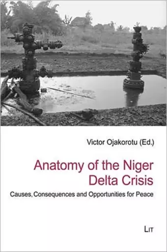 Anatomy of the Niger Delta Crisis cover