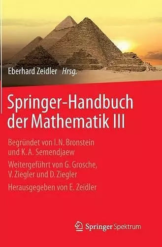 Springer-Handbuch der Mathematik III cover
