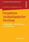 Perspektiven sozialpädagogischer Forschung cover