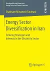 Energy Sector Diversification in Iran cover