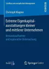 Extreme Eigenkapitalausstattungen kleiner und mittlerer Unternehmen cover