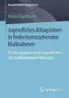 Jugendliches Alltagsleben in freiheitsentziehenden Maßnahmen cover