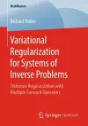 Variational Regularization for Systems of Inverse Problems cover