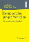 Delinquenz Bei Jungen Menschen cover