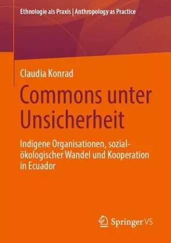 Commons unter Unsicherheit cover