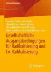 Gesellschaftliche Ausgangsbedingungen für Radikalisierung und Co-Radikalisierung cover