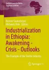 Industrialization in Ethiopia: Awakening - Crisis - Outlooks cover