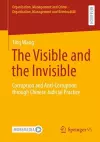 The Visible and the Invisible cover