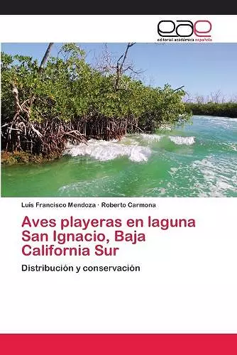 Aves playeras en laguna San Ignacio, Baja California Sur cover