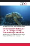 Identificación Molecular De La Tortuga Carey Eretmochelys Imbricata cover