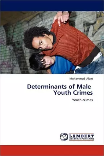 Determinants of Male Youth Crimes cover