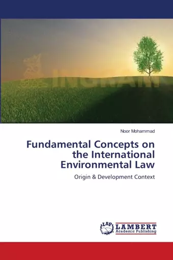 Fundamental Concepts on the International Environmental Law cover