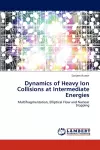 Dynamics of Heavy Ion Collisions at Intermediate Energies cover