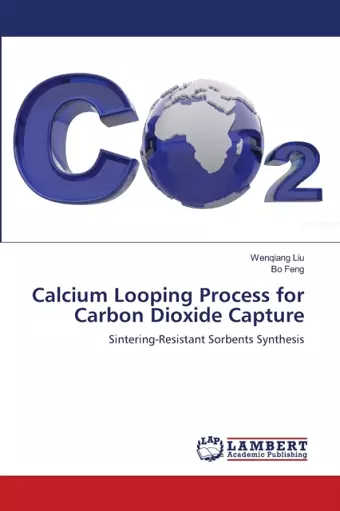 Calcium Looping Process for Carbon Dioxide Capture cover