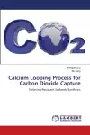 Calcium Looping Process for Carbon Dioxide Capture cover