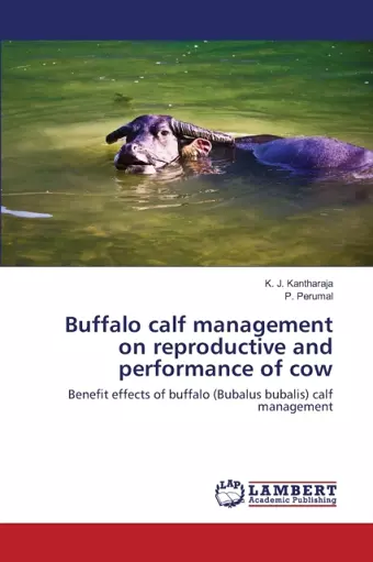 Buffalo calf management on reproductive and performance of cow cover