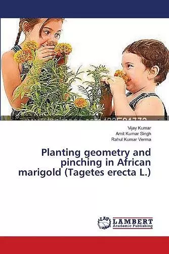 Planting geometry and pinching in African marigold (Tagetes erecta L.) cover