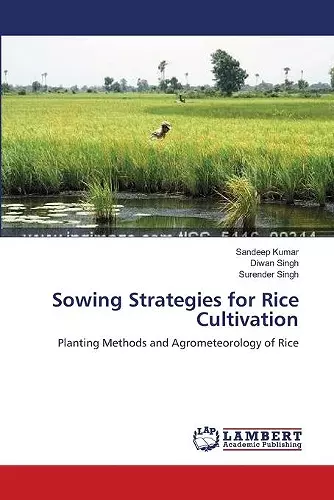 Sowing Strategies for Rice Cultivation cover