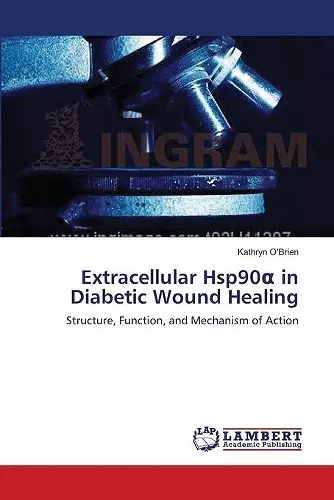 Extracellular Hsp90α in Diabetic Wound Healing cover