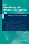 Wiederholungs- und Vertiefungskurs Strafrecht cover