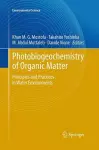 Photobiogeochemistry of Organic Matter cover