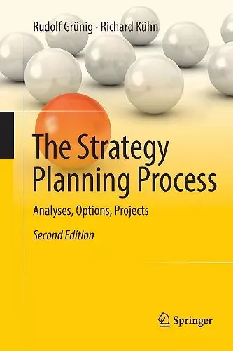 The Strategy Planning Process cover