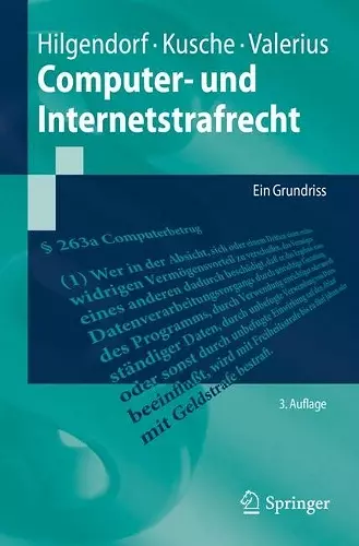 Computer- und Internetstrafrecht cover