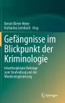 Gefängnisse im Blickpunkt der Kriminologie cover