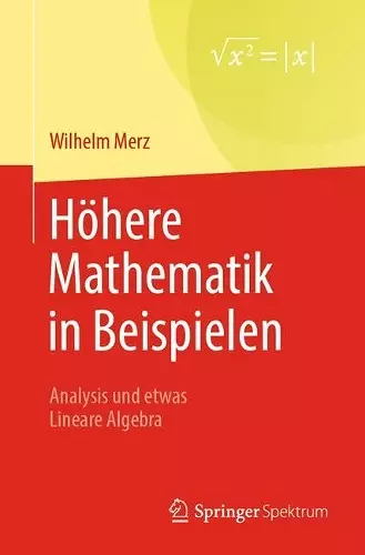 Höhere Mathematik in Beispielen cover