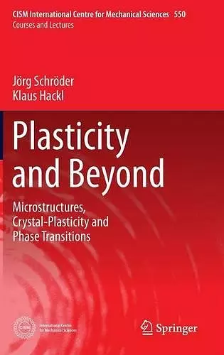 Plasticity and Beyond cover