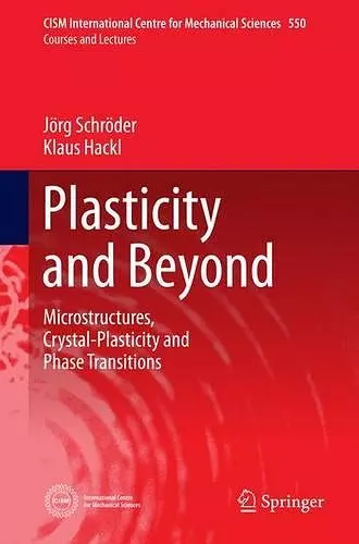 Plasticity and Beyond cover