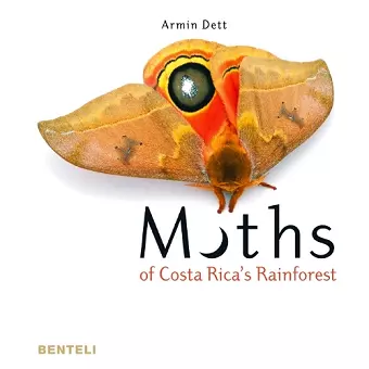 Moths of Costa Rica's Rainforest cover