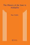 The History of the Jews in Antiquity cover