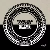 Manhole Covers of the World cover