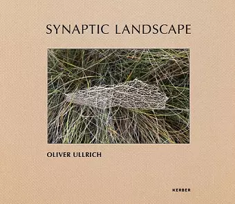 Synaptic Landscape: Oliver Ullrich cover