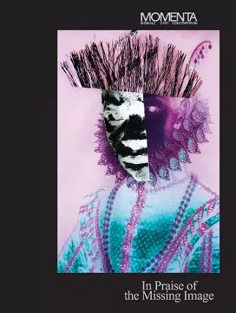 MOMENTA: In Praise of the Missing Image cover