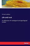Life and rock cover