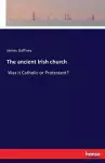 The ancient Irish church cover