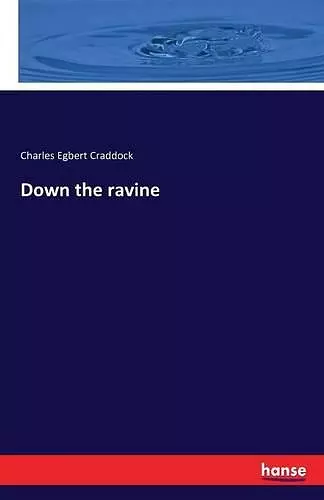 Down the ravine cover