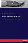 Bei den brasilianischen Wilden cover