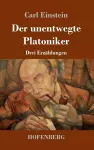 Der unentwegte Platoniker cover