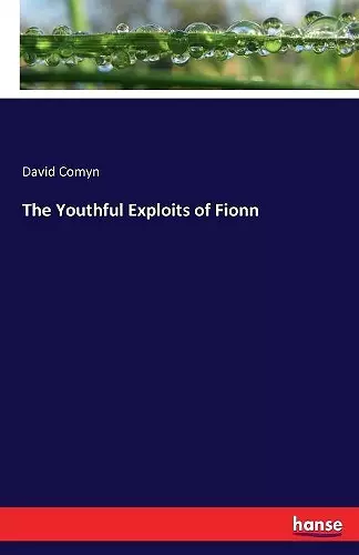 The Youthful Exploits of Fionn cover