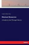 Mexican Resources cover