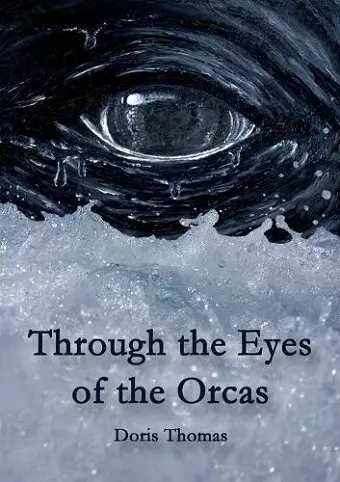 Through the Eyes of the Orcas cover