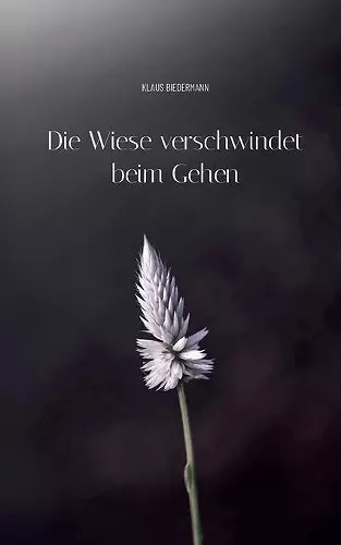 Die Wiese verschwindet beim Gehen cover