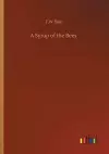 A Syrup of the Bees cover